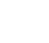 Product Developer